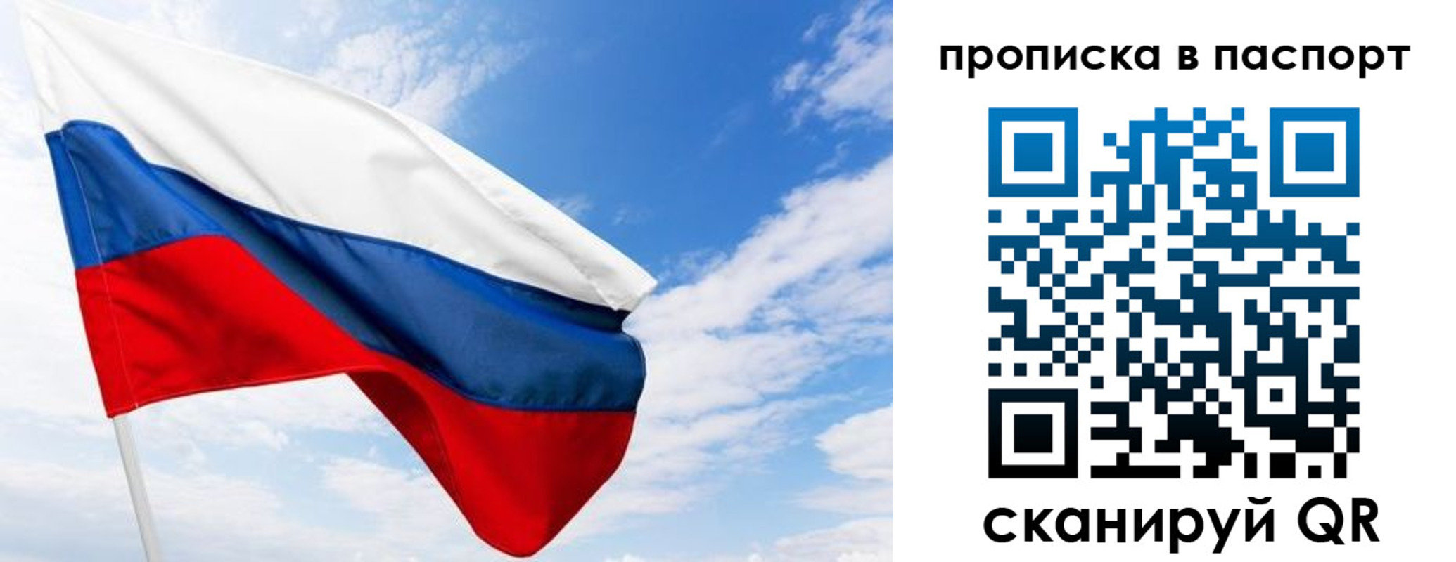 прописка поиск в Волоколамске